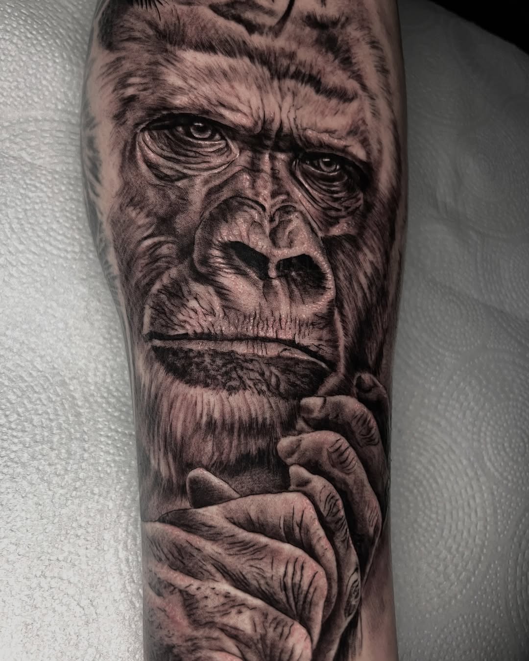 Tatuaje realista de gorila con expresión intensa realizado en Córdoba